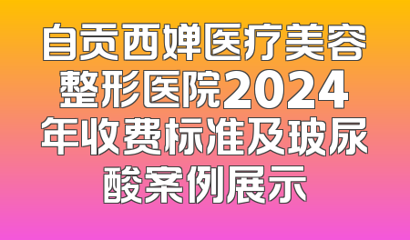 自贡西婵医疗美容整形医院2024年收费标准及玻尿酸案例展示