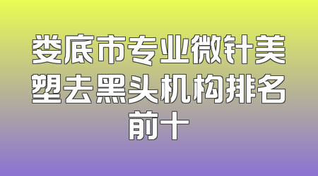 娄底市专业微针美塑去黑头机构排名前十