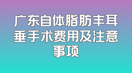 广东自体脂肪丰耳垂手术费用及注意事项