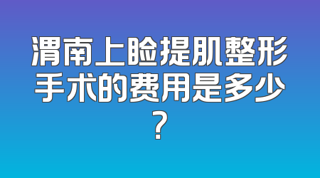 渭南上睑提肌整形手术的费用是多少？