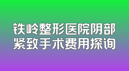 铁岭整形医院阴部紧致手术费用探询