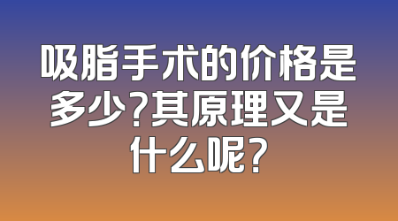 吸脂手术的价格是多少？其原理又是什么呢？