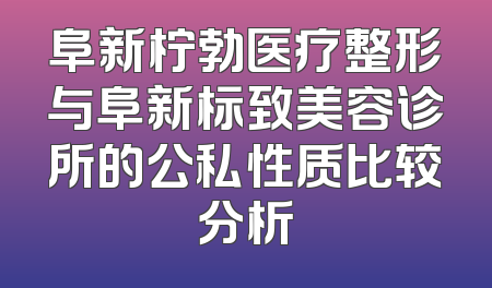 阜新柠勃医疗整形与阜新标致美容诊所的公私性质比较分析
