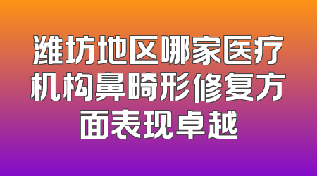 潍坊地区哪家医疗机构鼻畸形修复方面表现卓越