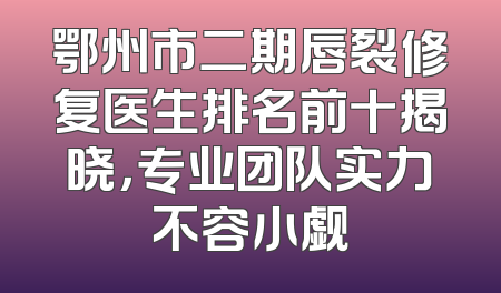鄂州市二期唇裂修复医生排名前十揭晓，专业团队实力不容小觑
