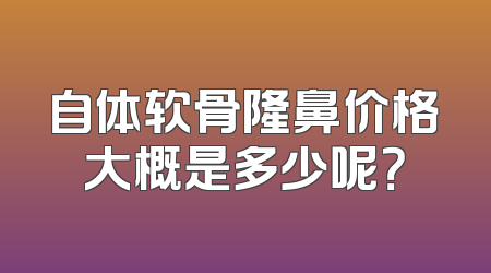 自体软骨隆鼻价格大概是多少呢？