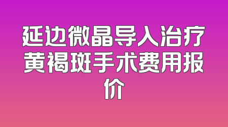延边微晶导入治疗黄褐斑手术费用报价