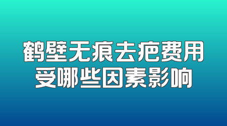 鹤壁无痕去疤费用受哪些因素影响