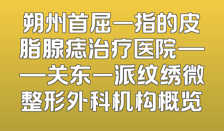 朔州首屈一指的皮脂腺痣治疗医院——关东一派纹绣微整形外科机构概览