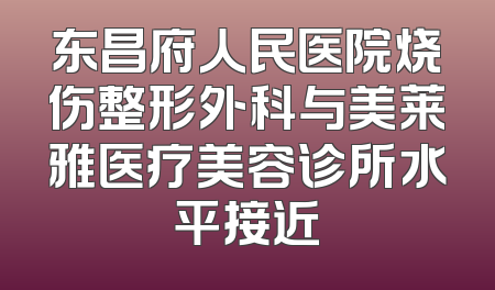 东昌府人民医院烧伤整形外科与美莱雅医疗美容诊所水平接近