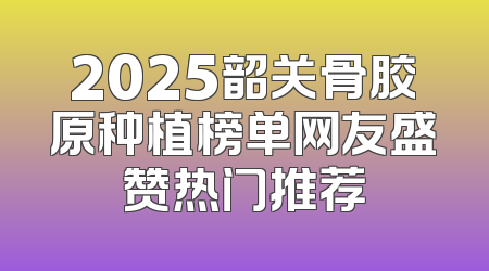 2025韶关骨胶原种植榜单网友盛赞热门推荐