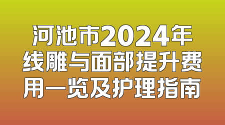 河池市2024年线雕与面部提升费用一览及护理指南
