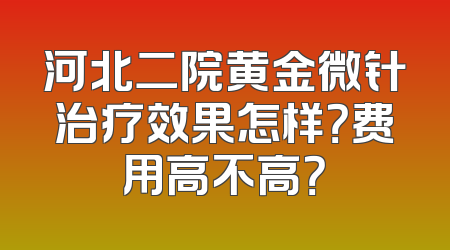 河北二院黄金微针治疗效果怎样？费用高不高？