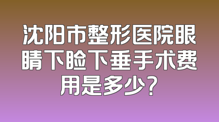 沈阳市整形医院眼睛下睑下垂手术费用是多少？