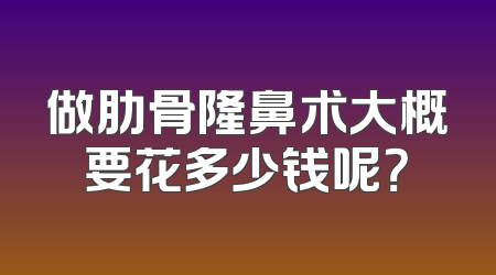 做肋骨隆鼻术大概要花多少钱呢？