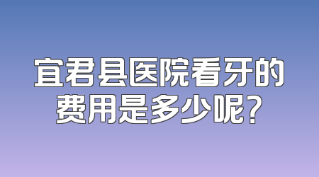 宜君县医院看牙的费用是多少呢？
