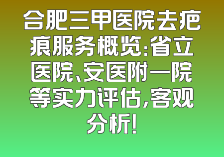 合肥三甲医院去疤痕服务概览：省立医院、安医附一院等实力评估，客观分析！