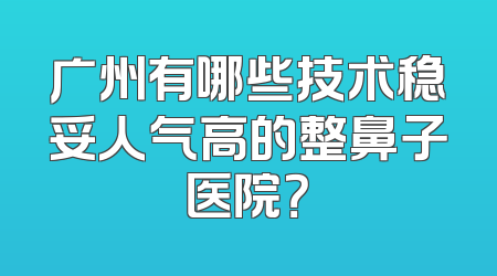 广州有哪些技术稳妥人气高的整鼻子医院？