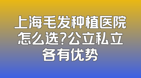 上海毛发种植医院怎么选？公立私立各有优势