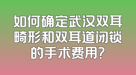 如何确定武汉双耳畸形和双耳道闭锁的手术费用？