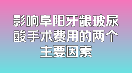影响阜阳牙龈玻尿酸手术费用的两个主要因素