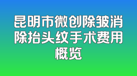 昆明市微创除皱消除抬头纹手术费用概览