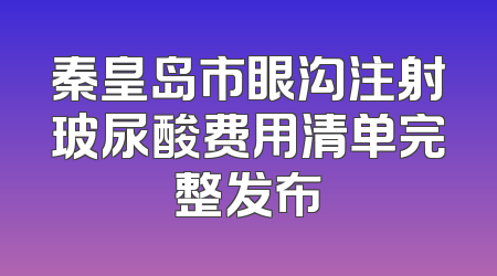 秦皇岛市眼沟注射玻尿酸费用清单完整发布