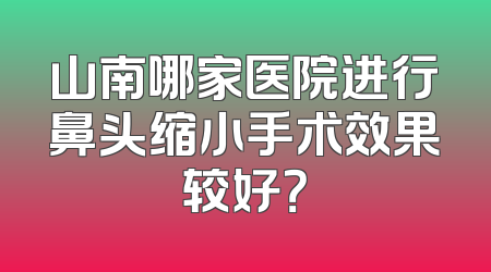 山南哪家医院进行鼻头缩小手术效果较好？
