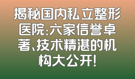 揭秘国内私立整形医院：六家信誉卓著、技术精湛的机构大公开！
