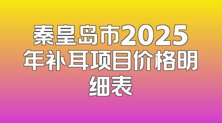 秦皇岛市2025年补耳项目价格明细表