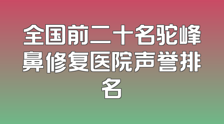 全国前二十名驼峰鼻修复医院声誉排名