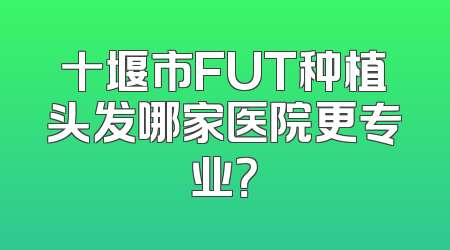 十堰市FUT种植头发哪家医院更专业？
