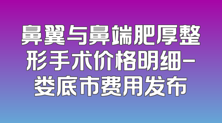 鼻翼与鼻端肥厚整形手术价格明细-娄底市费用发布