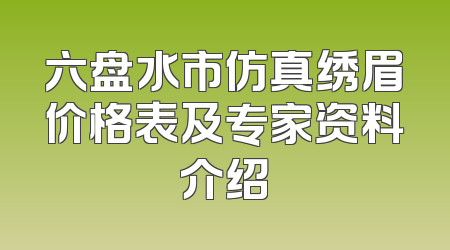 六盘水市仿真绣眉价格表及专家资料介绍