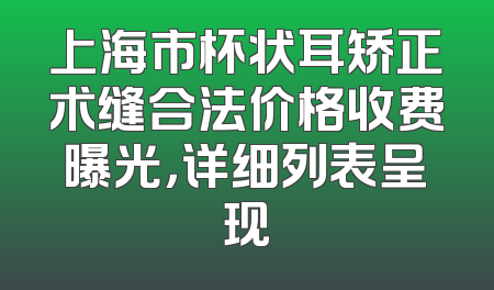 上海市杯状耳矫正术缝合法价格收费曝光，详细列表呈现