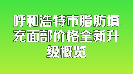 呼和浩特市脂肪填充面部价格全新升级概览