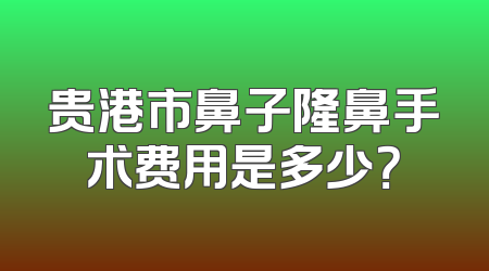 贵港市鼻子隆鼻手术费用是多少？