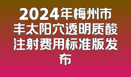 2024年梅州市丰太阳穴透明质酸注射费用标准版发布