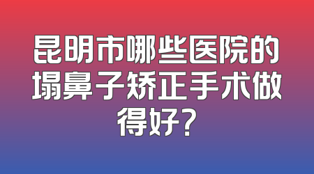昆明市哪些医院的塌鼻子矫正手术做得好？