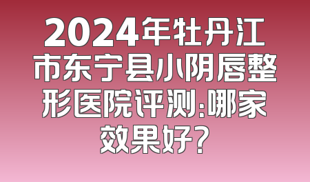 2024年牡丹江市东宁县小阴唇整形医院评测：哪家效果好？