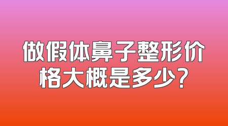 做假体鼻子整形价格大概是多少？