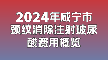2024年咸宁市颈纹消除注射玻尿酸费用概览