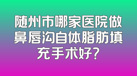随州市哪家医院做鼻唇沟自体脂肪填充手术好？