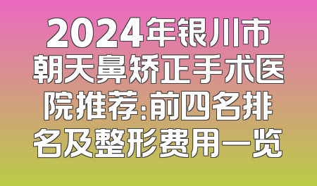 2024年银川市朝天鼻矫正手术医院推荐：前四名排名及整形费用一览