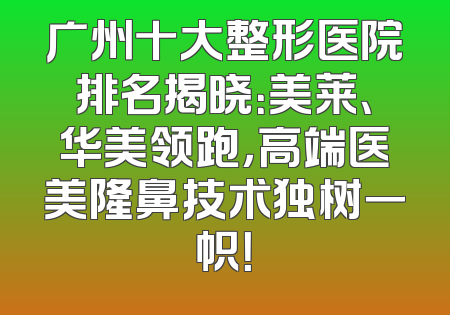 广州十大整形医院排名揭晓：美莱、华美领跑，高端医美隆鼻技术独树一帜！
