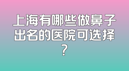 上海有哪些做鼻子出名的医院可选择？