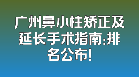 广州鼻小柱矫正及延长手术指南：排名公布！