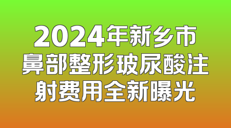 2024年新乡市鼻部整形玻尿酸注射费用全新曝光