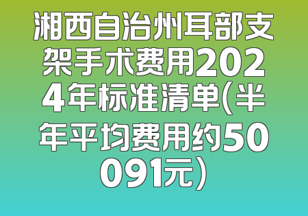 湘西自治州耳部支架手术费用2024年标准清单（半年平均费用约50091元）