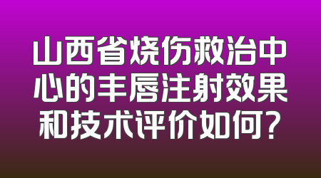 山西省烧伤救治中心的丰唇注射效果和技术评价如何？